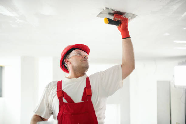 Campbell, OH Mold Removal Company